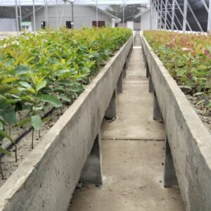 Dripper System (Dripline Sub surface, surface & PCJ)