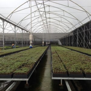 Sprinkler System (Vibronet, Spinnet, Meganet)