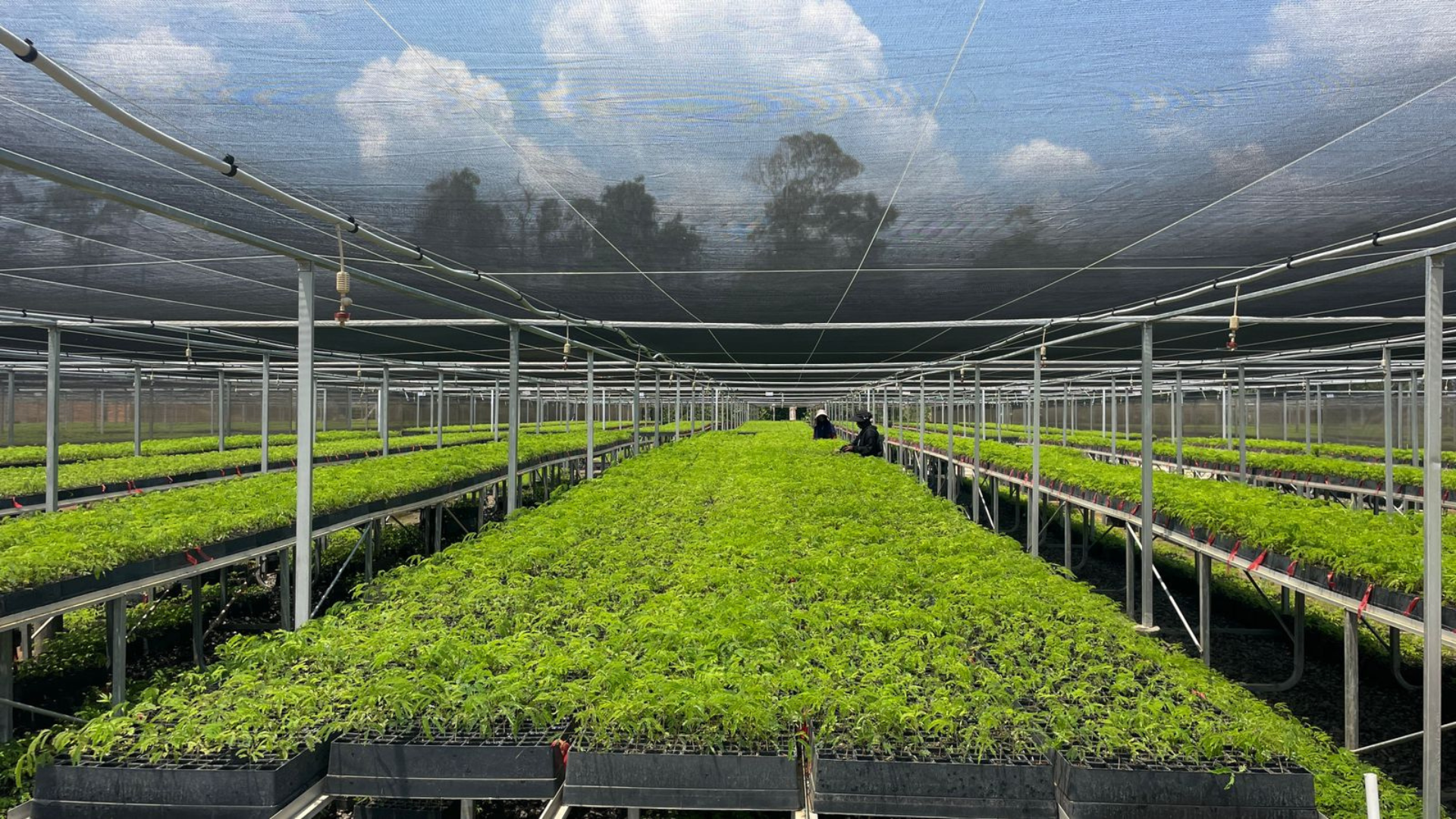 JSM Agri Solution (3)